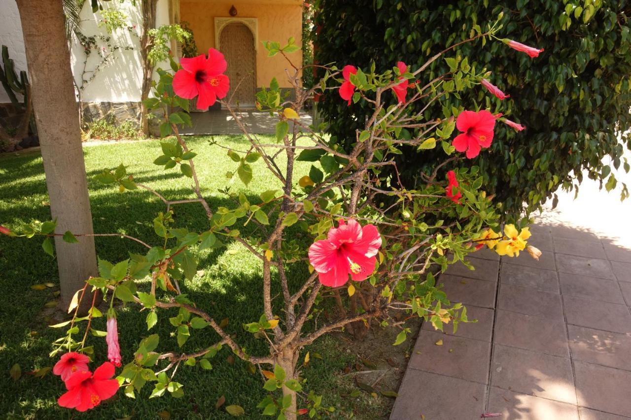 Vera Playa Spain - La Menara Naturist Complex - Eagles Nest - Penthouse Екстериор снимка